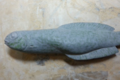 fish 20130819_143040