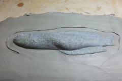 fish 20130819_151848