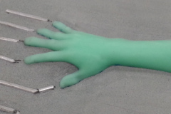 Lisa arms 20140424_181021