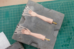 Lisa arms  20140619_091950