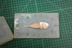 fish  SAMSUNG CSC