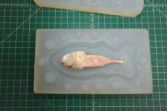 fish  SAMSUNG CSC