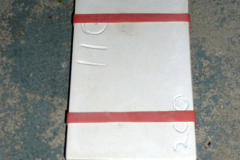 molds019