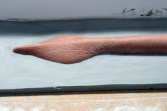 screen-molds207