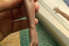 cosmos-IMG_20180622_115614130