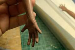 cosmos-IMG_20180622_115619344