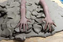 cosmos-IMG_20180622_123122637