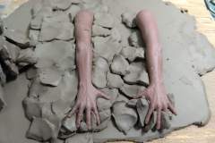 cosmos-IMG_20180622_123128311