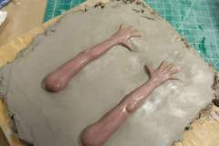 cosmos-IMG_20180626_114132138