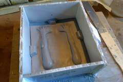 cosmos-IMG_20180626_124446576