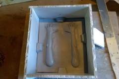 cosmos-IMG_20180626_124510158