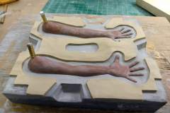 cosmos-IMG_20180626_162308591