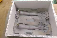 cosmos-IMG_20180626_165322905