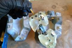 cosmos-IMG_20180627_123031076