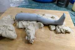 cosmos-IMG_20180627_154111693