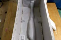 cosmos-IMG_20180628_154850641