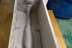 cosmos-IMG_20180628_154857618