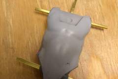 cosmos-IMG_20180629_153858704