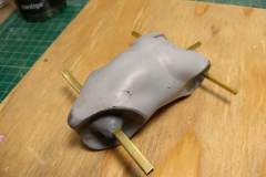 cosmos-IMG_20180629_153902846