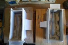 cosmos-IMG_20180629_165455755