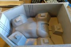 cosmos-IMG_20180702_143657968