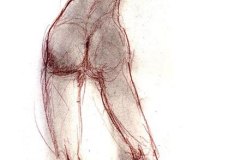 b1
