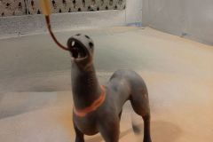 stoopid-santa-inc-20210428_155953