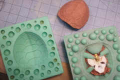 tumble-leaf-turtle20170613_102942