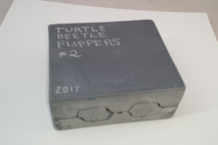 tumble-leaf-turtle20170615_081017