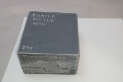 tumble-leaf-turtle20170616_154734